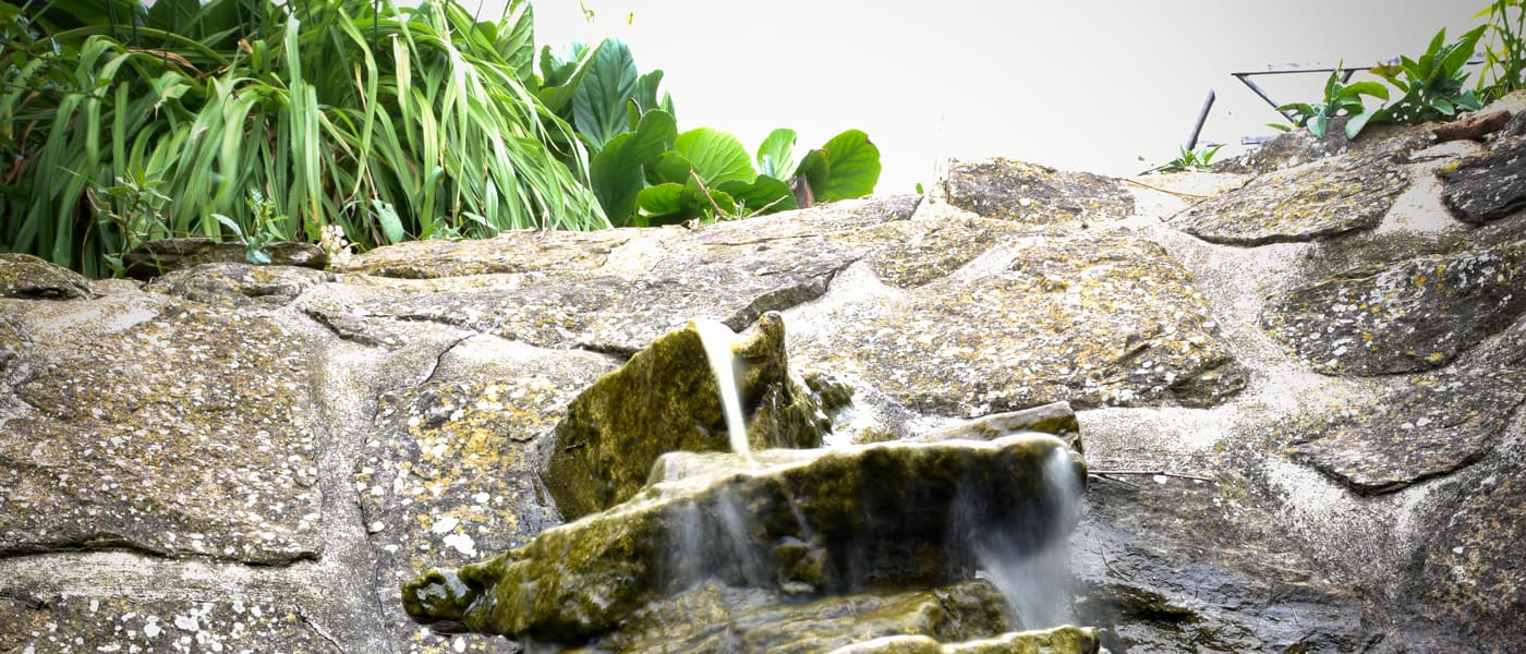 Abbey Lodge Residential Home photo 5