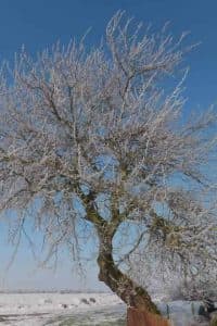 Alderson House photo 12