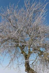 Alderson House photo 1