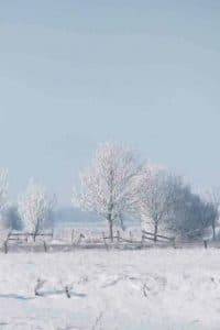 Alderson House photo 2