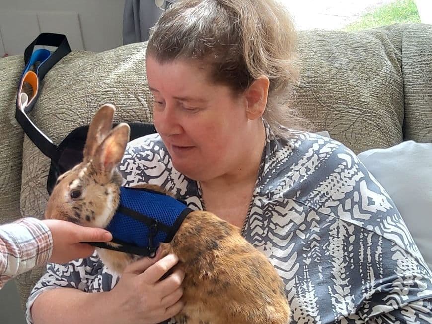 Alverstoke House Nursing Home photo 4