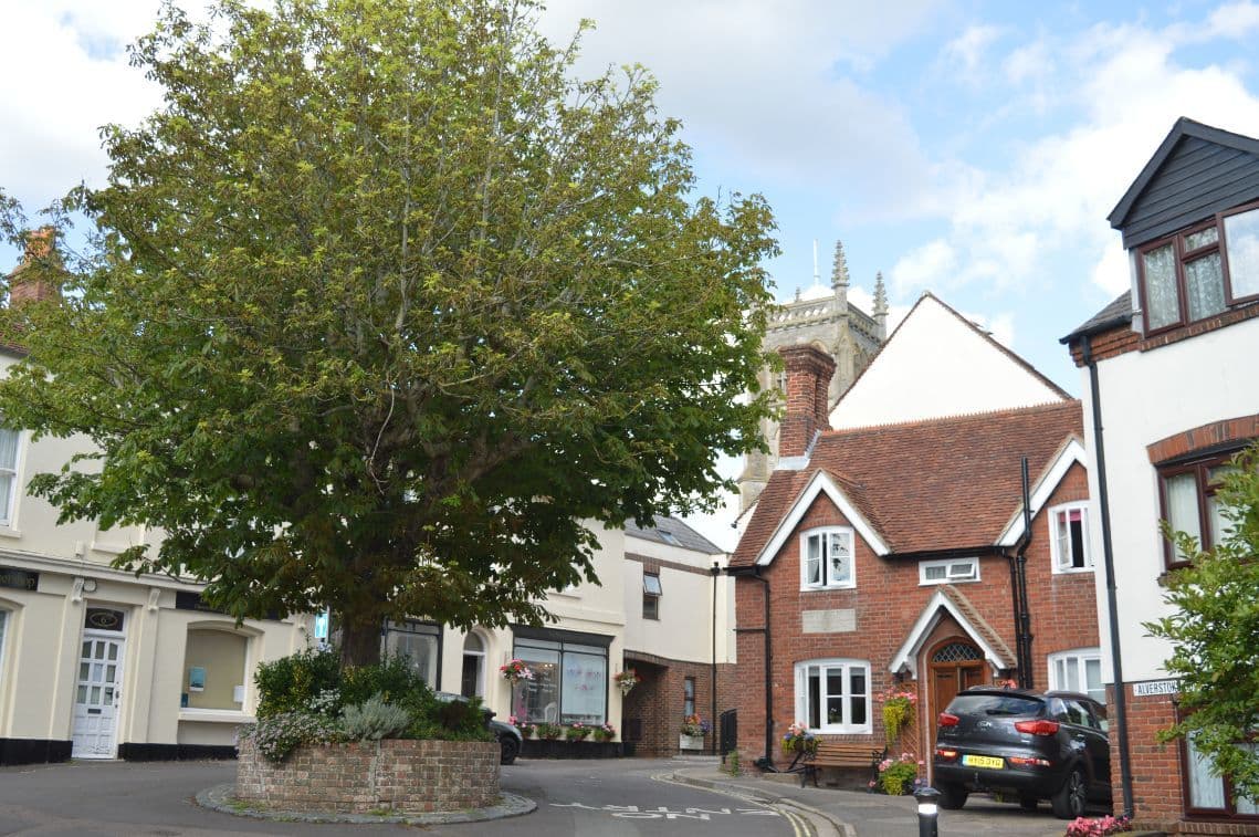 Alverstoke House Nursing Home photo 8