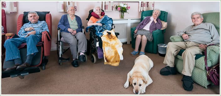 Ashgrove House Nursing Home photo 4