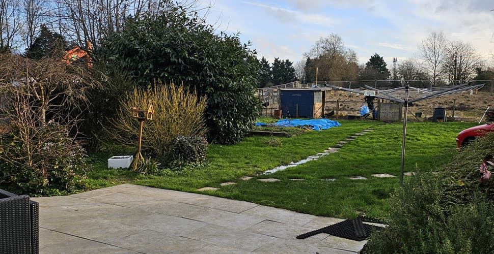 The Paddocks photo 12