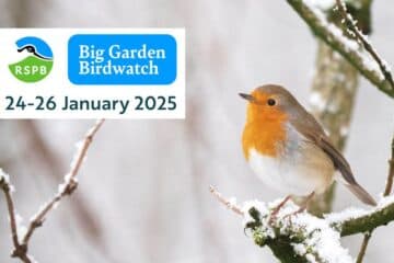 Avocet Court photo 8