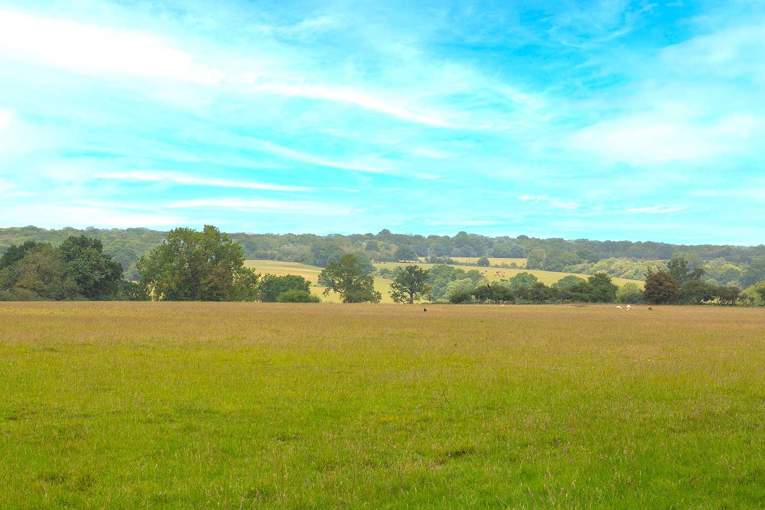 Aveley Lodge photo 1