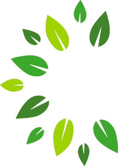 Beechdale Manor Care Home photo 11