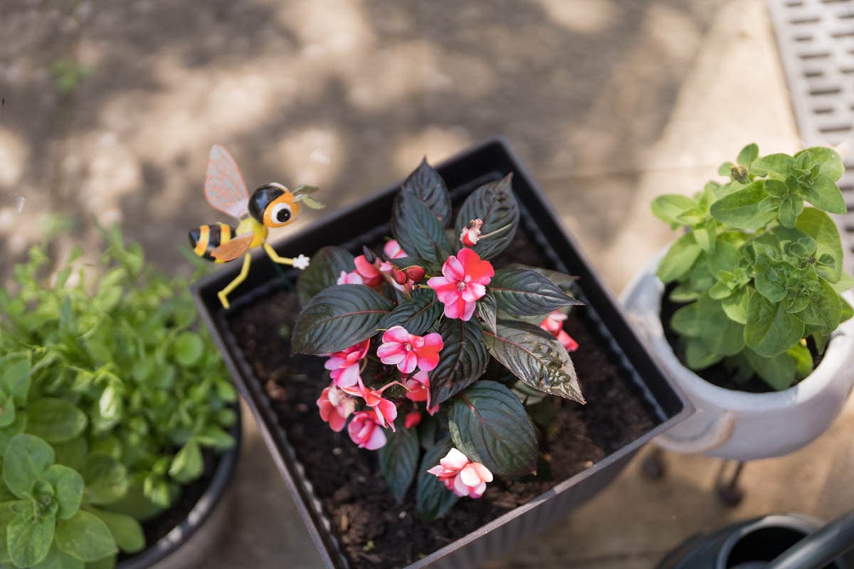 Beechdale Manor Care Home photo 12