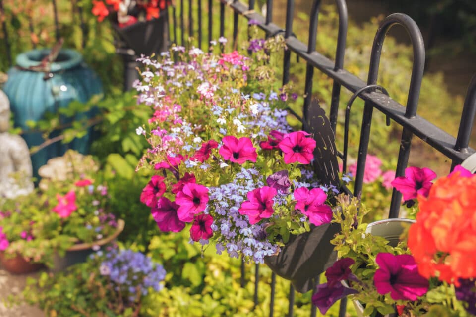 Ryefield Court photo 12