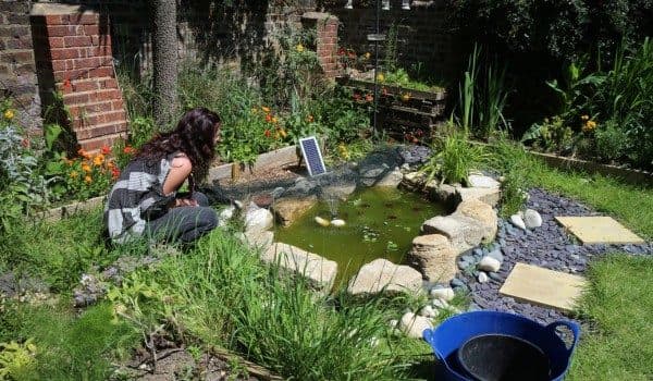 Sackville Gardens photo 7