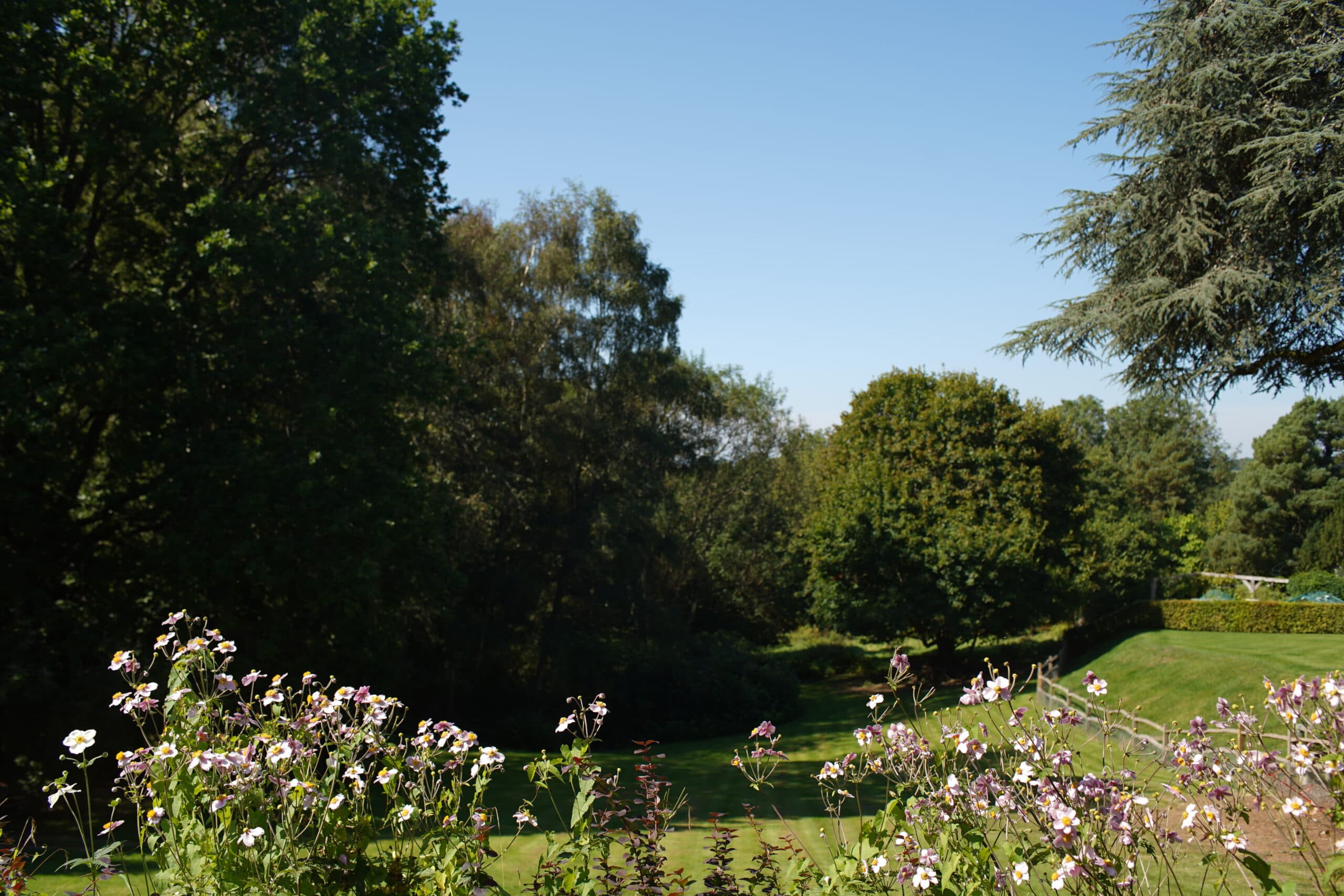 Birchwood House Rest Home photo 5