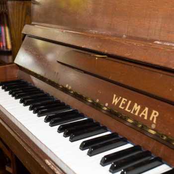 Coppice Nursing Home photo 3