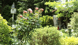 Bramble Cottage Retirement Home