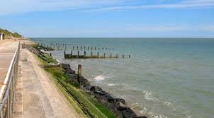 Brooklyn House photo 4