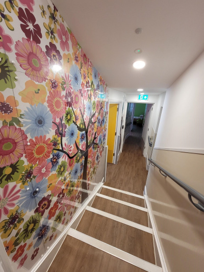 Butterfly House photo 4