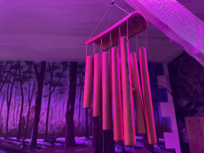 Butterfly House photo 11