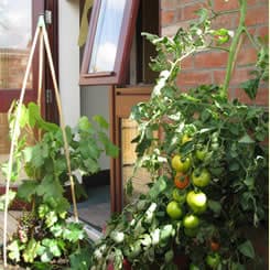 The Byars Nursing Home photo 1