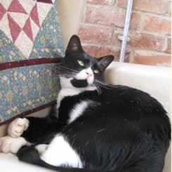 The Byars Nursing Home photo 3