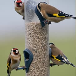 The Byars Nursing Home photo 2