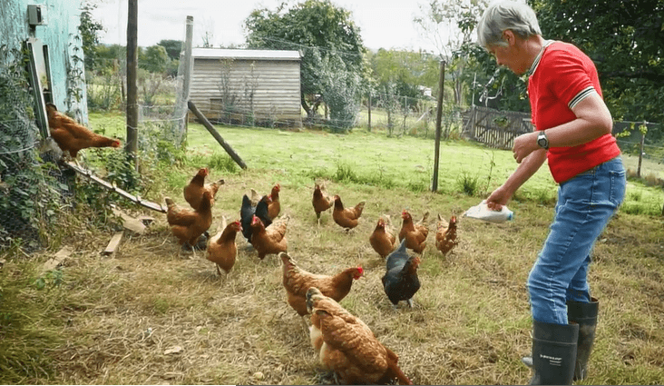 Hapstead Village photo 2