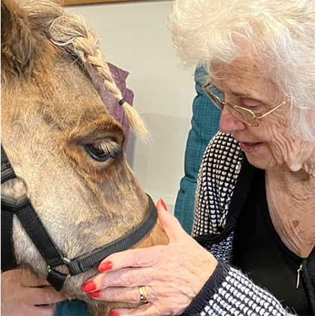 Marjorie House photo 8