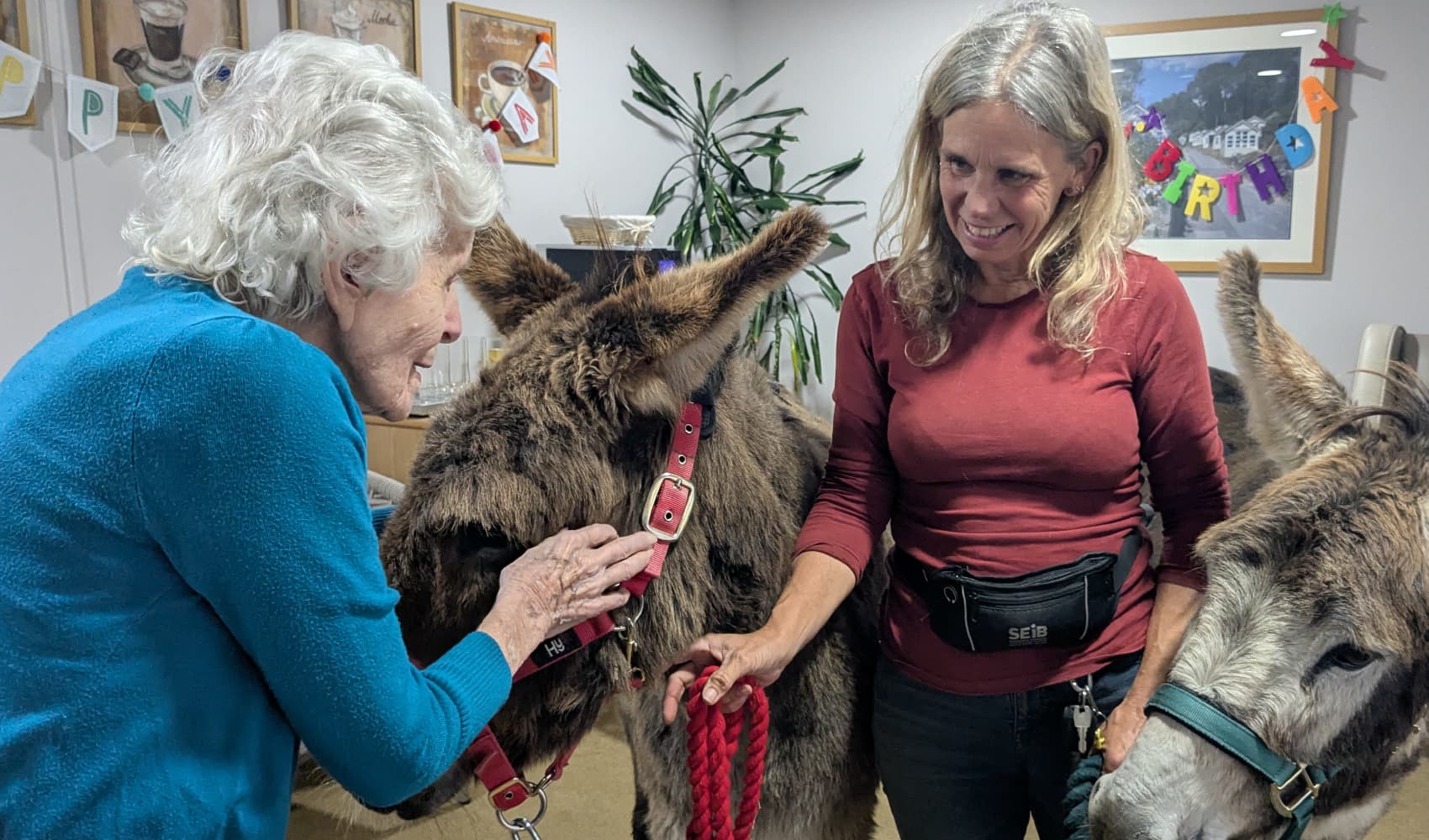 Alexandra House photo 7