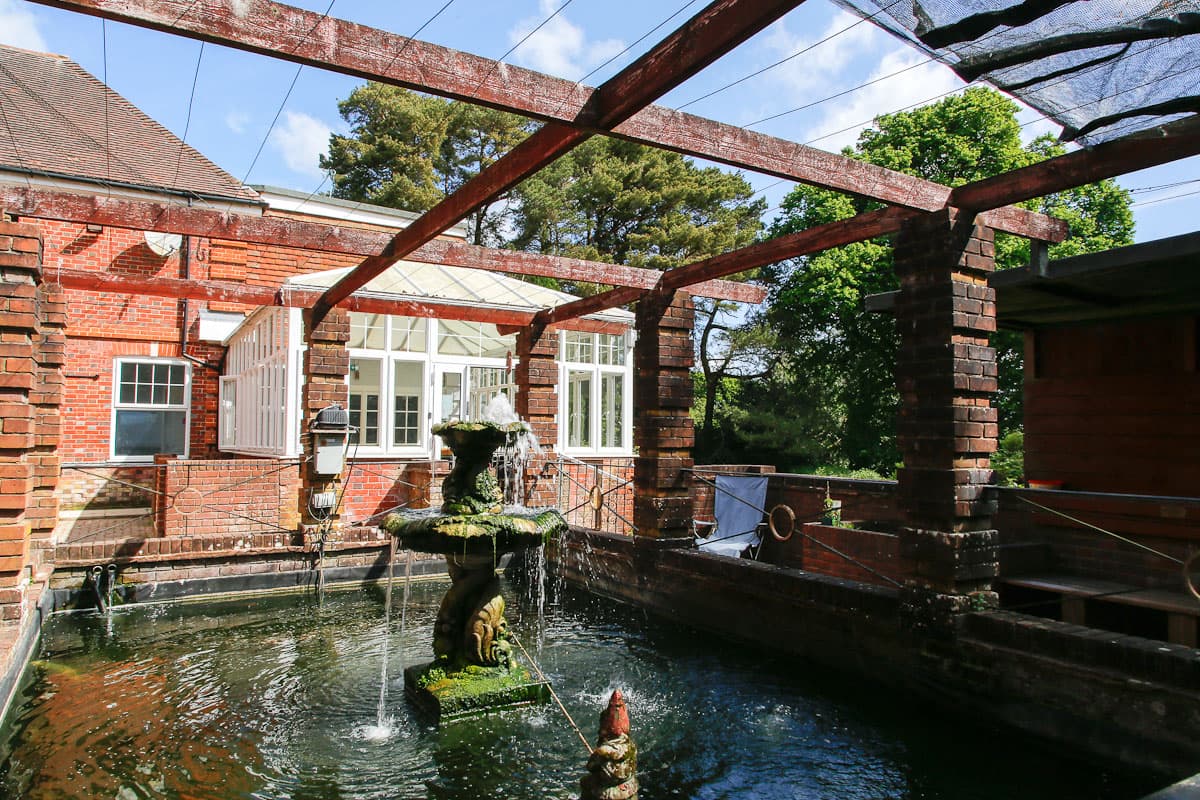 Ocknell Park photo 5