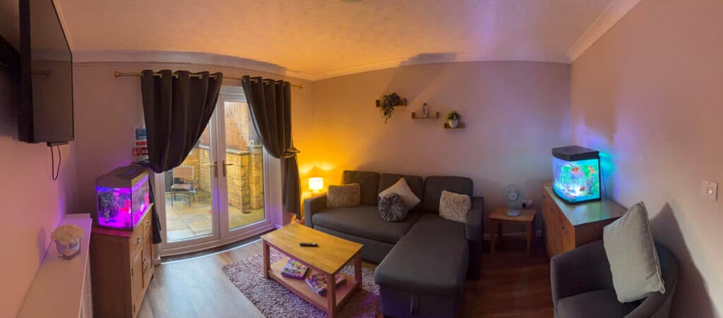 Springfield House photo 3