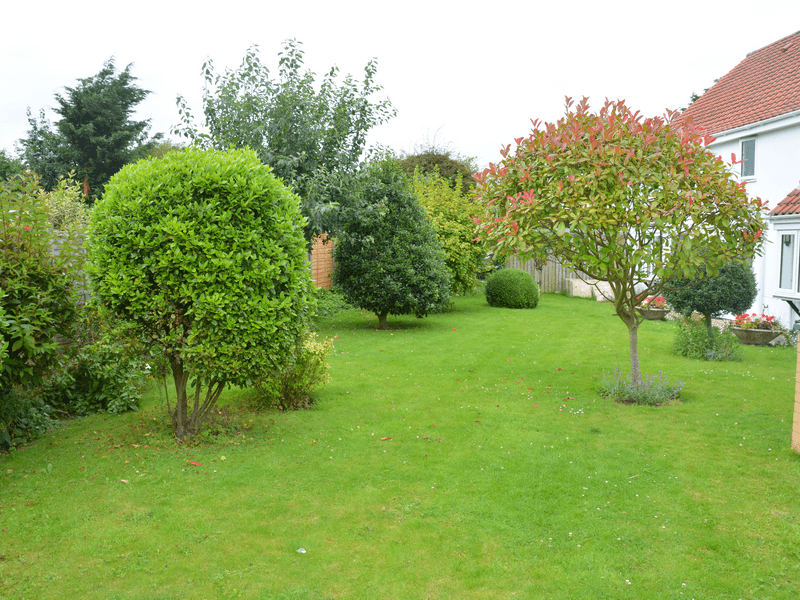 Pinfold Lodge Nursing Home photo 1