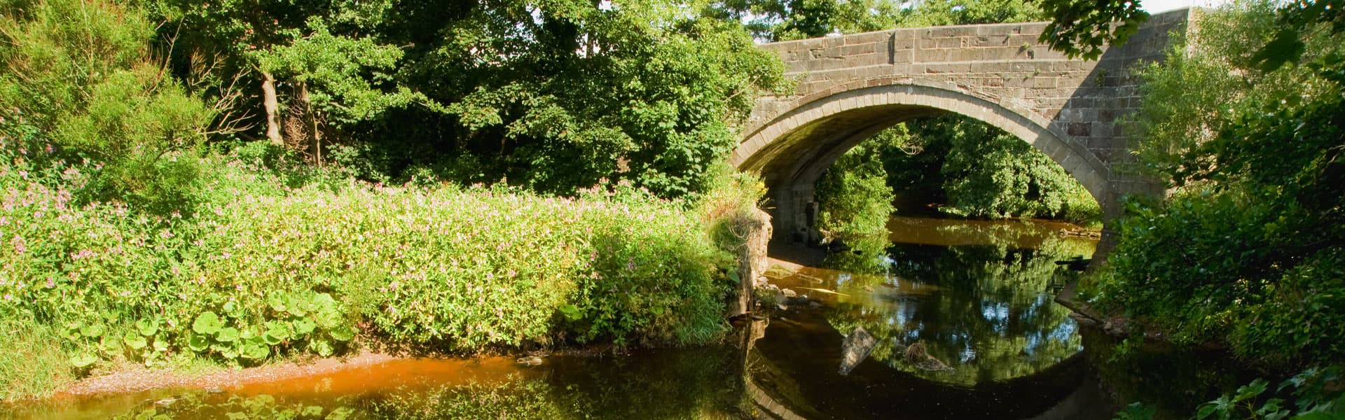 Cornmill Nursing and Residential Care Home photo 3