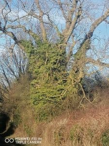 Creative Support - Leonora Street photo 4