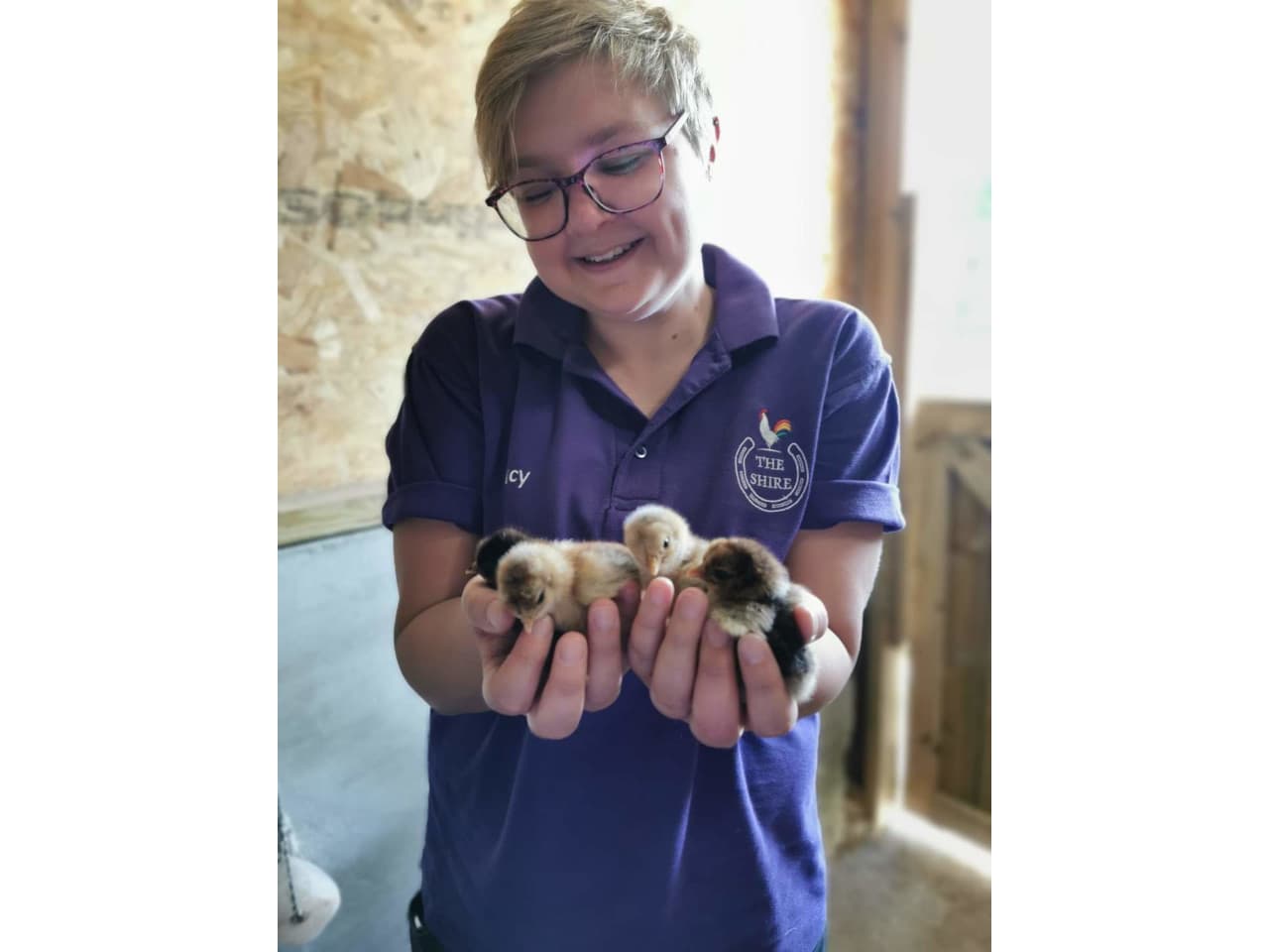 Crimson Hill Support Limited photo 10