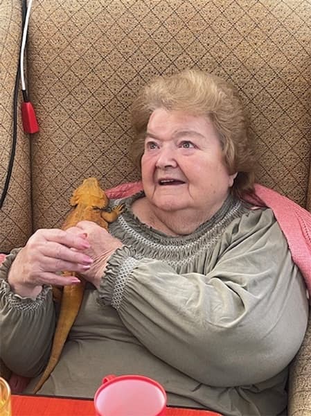 Danesford Grange Care Home photo 4