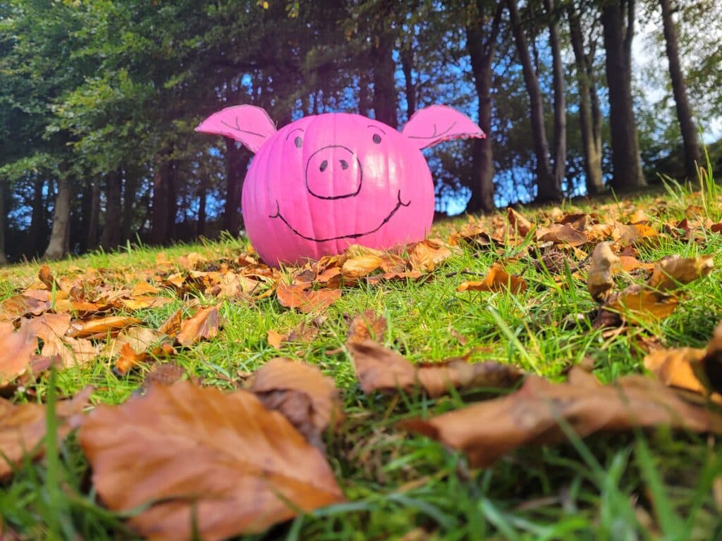 Daneswood Care Home photo 7