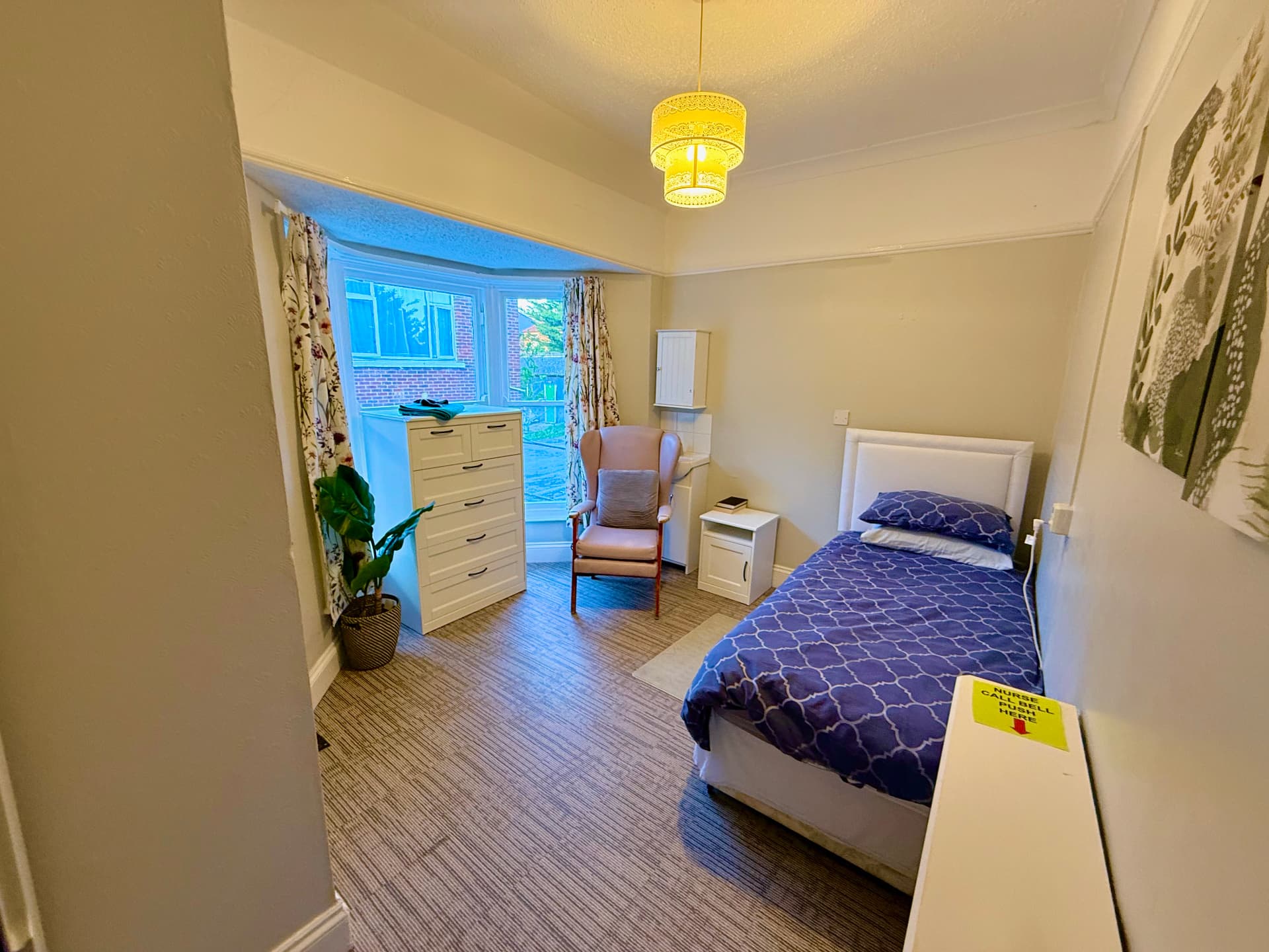 Tulipa House photo 1