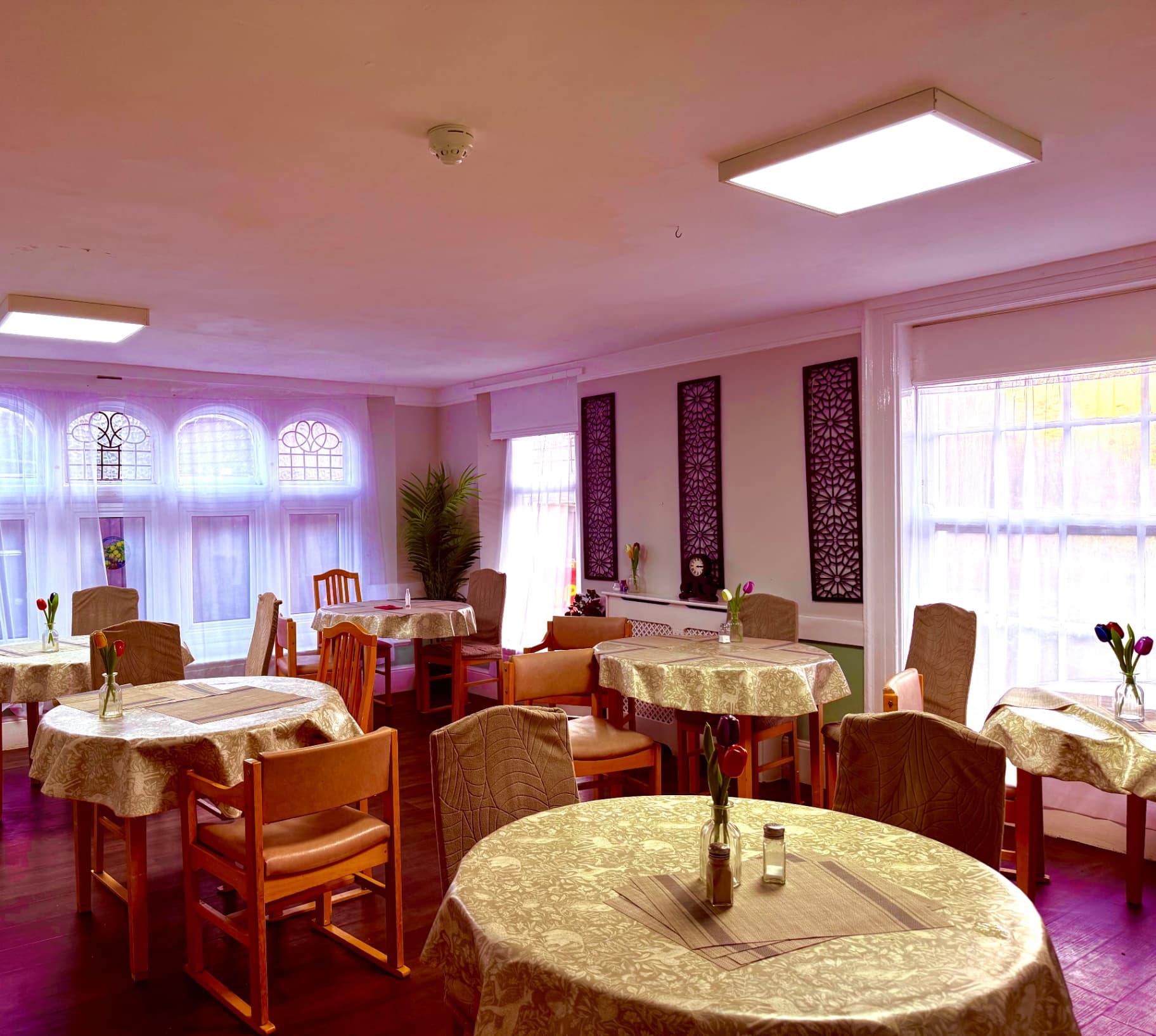 Tulipa House photo 6