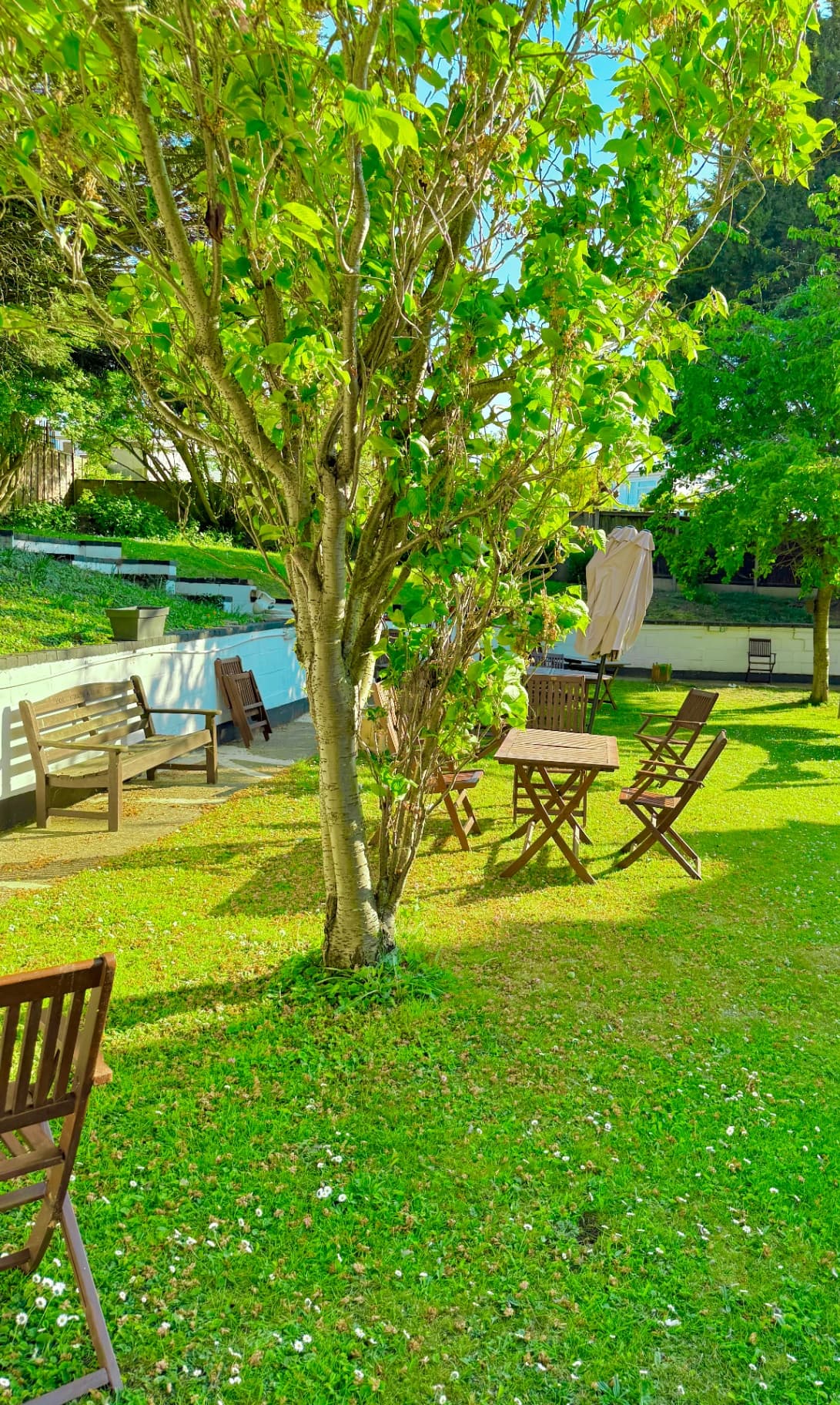 Tulipa House photo 8