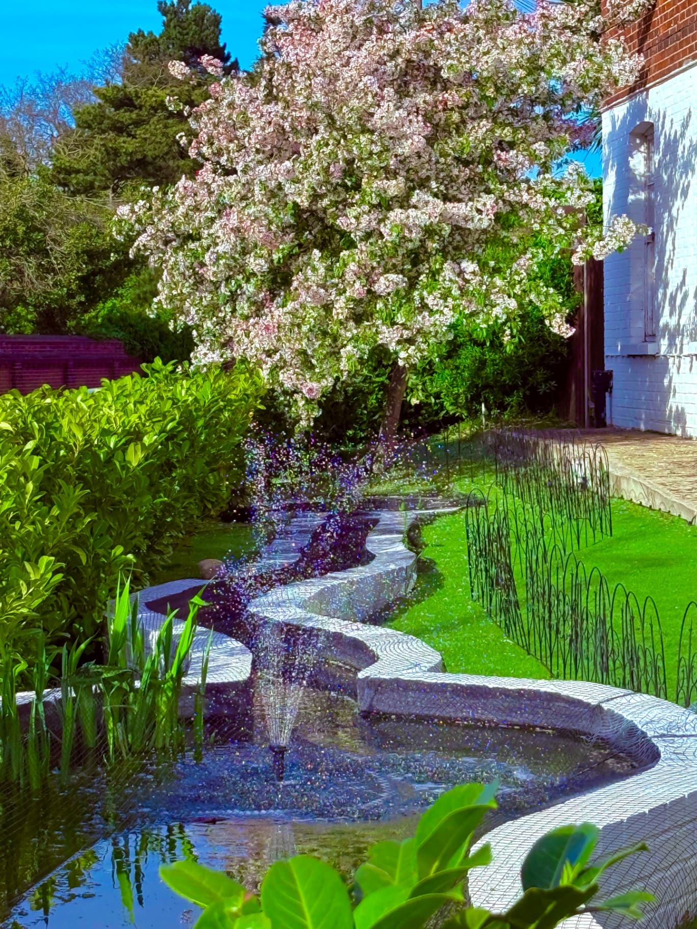 Tulipa House photo 3