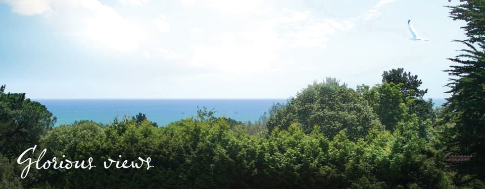 Glenhurst Manor photo 9