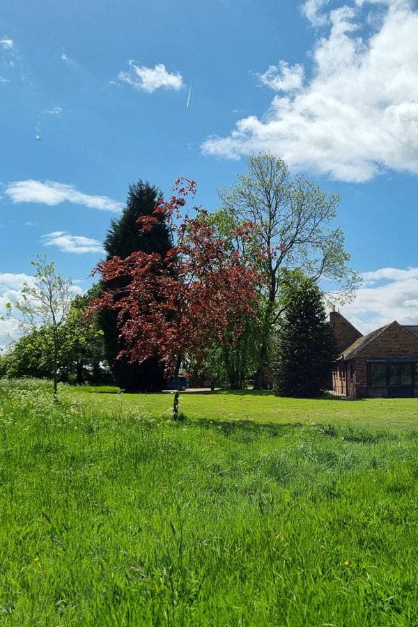 Grangewood Lodge Residential Home photo 6