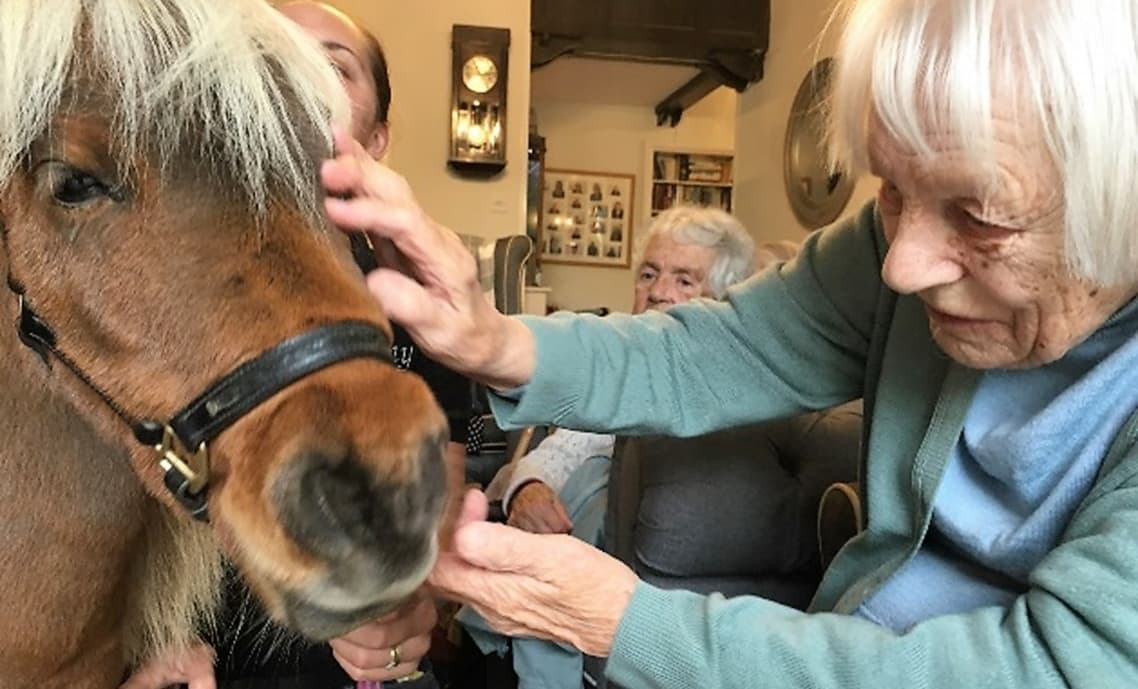 Greys Residential Home photo 4