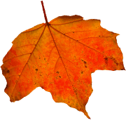 Holbeach and East Elloe Hospital Trust photo 4