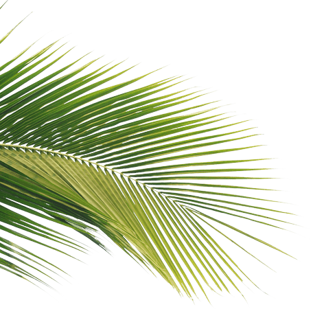 Holbeach and East Elloe Hospital Trust photo 12