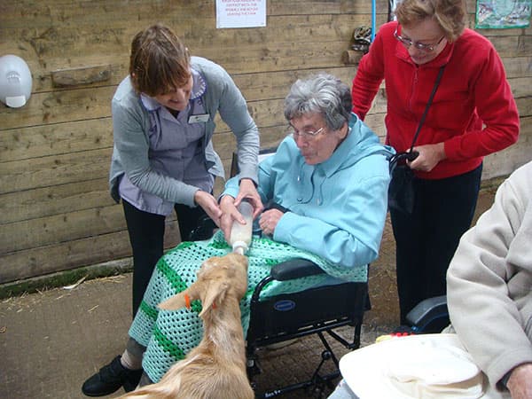 Jasmine Court Nursing Home photo 12