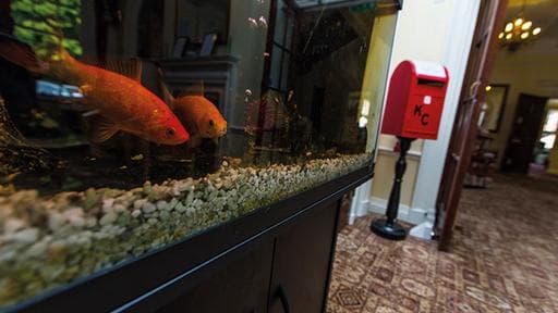 Kingswood Court Care Home photo 6