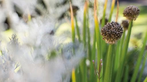 Kingswood Court Care Home photo 2