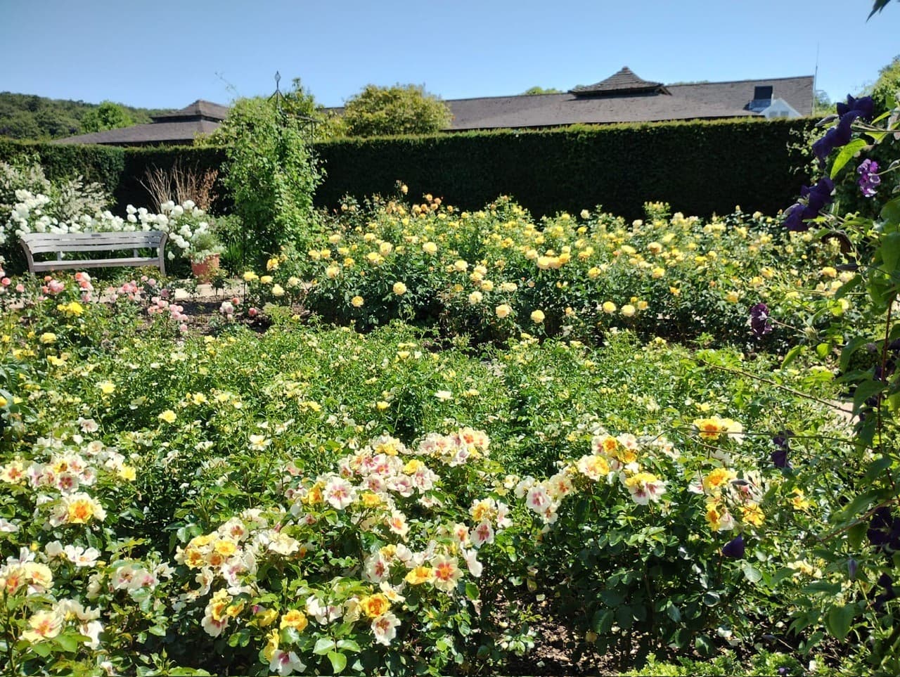 Lakeside Care Home photo 11