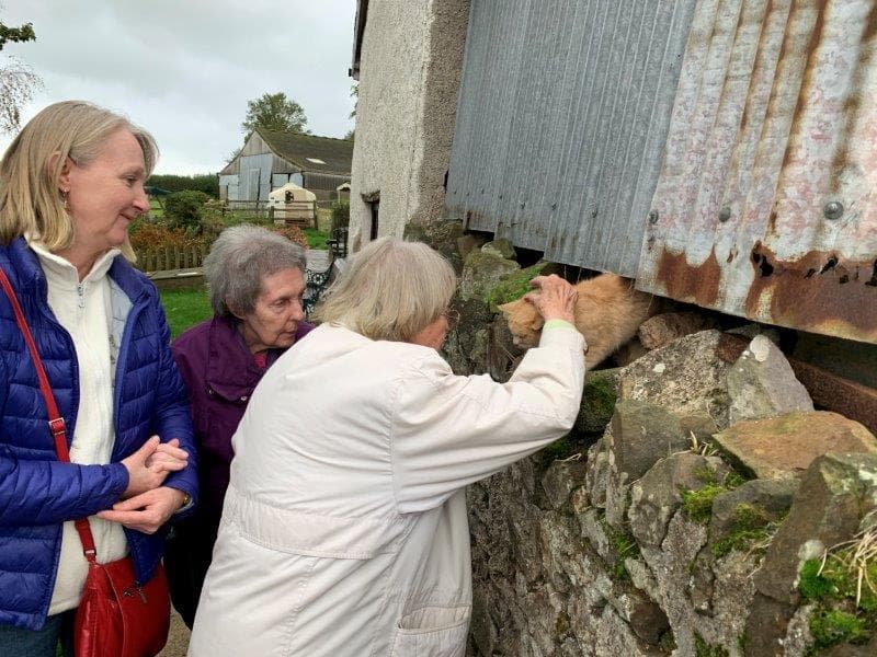 Lakeside Care Home photo 3