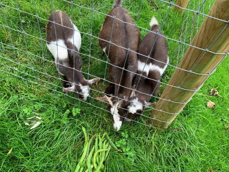 Lakeside Care Home photo 1