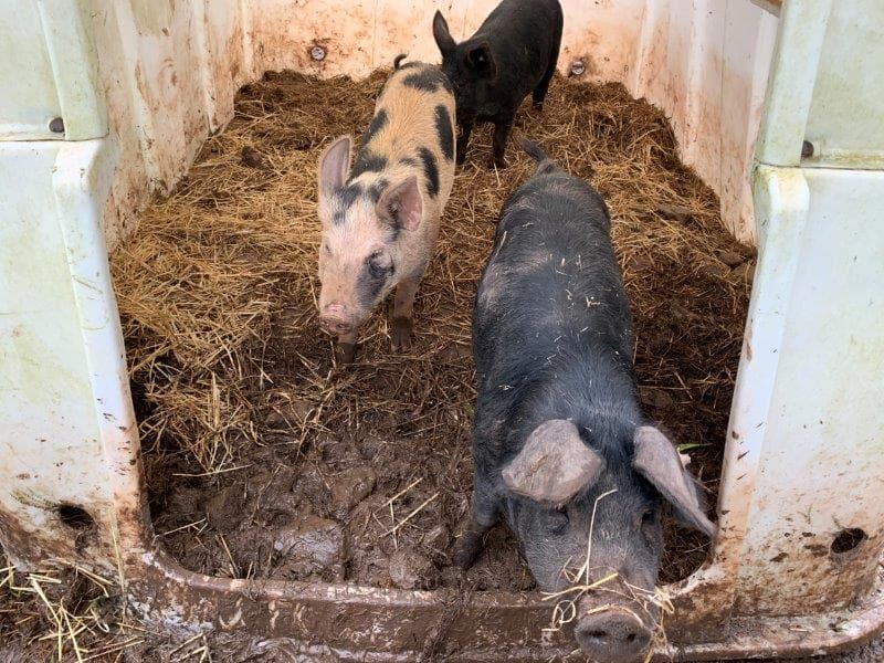 Lakeside Care Home photo 10